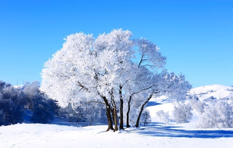 �������� �������� ɢ����� 093326gjjjdzskufsqkkja