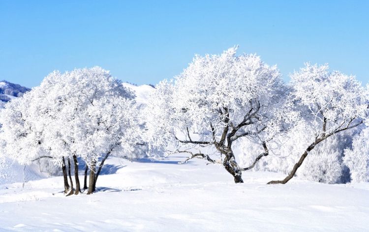 �������� �������� ɢ����� 093327aev3xgekvgxe93kd