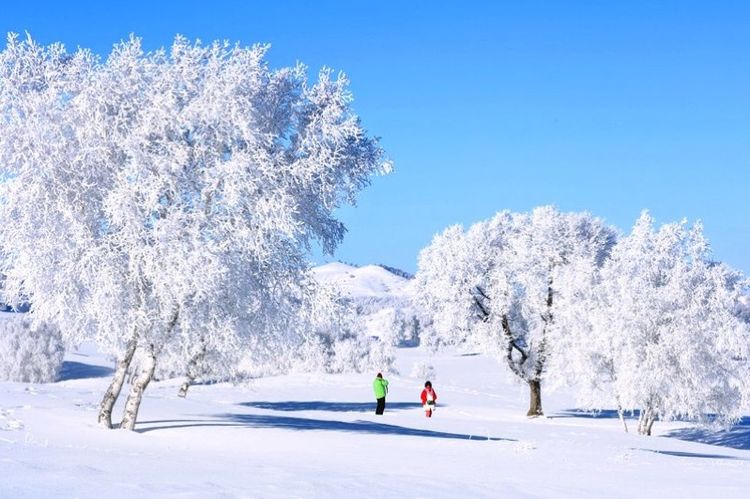 �������� �������� ɢ����� 093327pl8szbb4zpo8lsmv