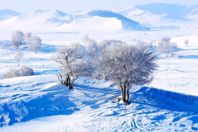 �������� �������� ɢ����� 093328spf5u8owpw5vds6d