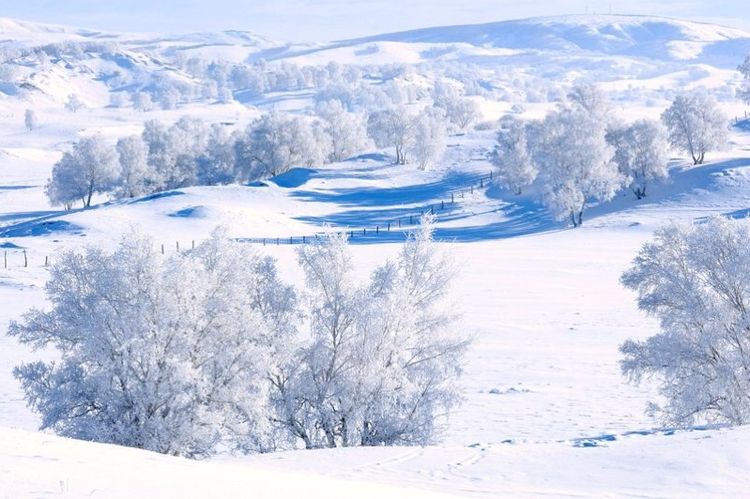 �������� �������� ɢ����� 093329di1eqqaaae1qizui