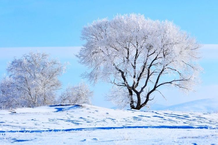 �������� �������� ɢ����� 093330vic5is3vpni1h1pk