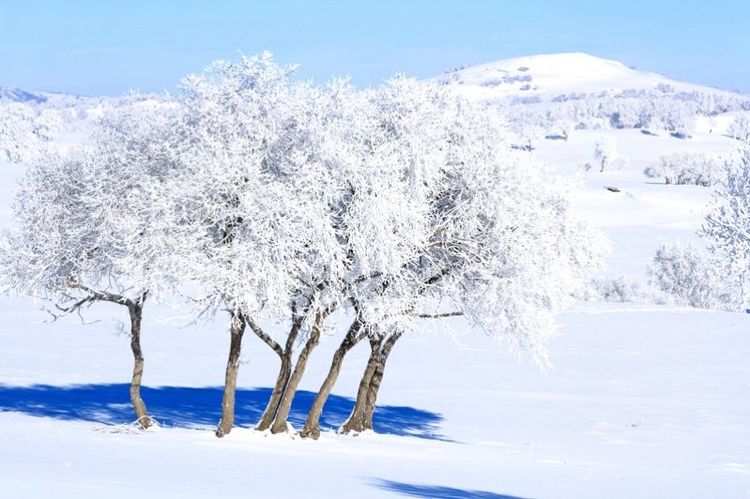 �������� �������� ɢ����� 093331qb1fqkkrjufkj4bu