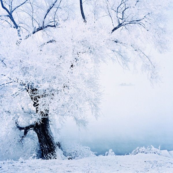 �������� �������� ɢ����� 093333j7ziir7q9947xqaa