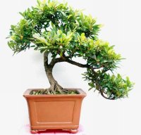 �� ��ʫ���� /����ɿ�  ���Ͻ��� 214252arldh3bdhrcc3rba