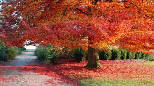 ��Щ�˵���꣬������ǵ�һ���� ��Щ��,���,һ���� ������ѧ 164220l2tpq6vl8rz9yf8f