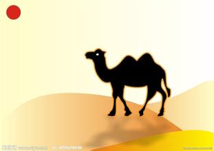 �������գ����Ǹ� ���� �ִ�ʫ�� 205720dmqm8nvom8k2vnnv