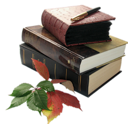 �� * ��  ɢ����� 212848ij2qmgfywm7e3ym7