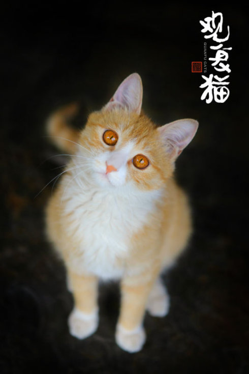 ���������*��Ȼ�� �����Ȼ �ִ�ʫ�� 223927a6vqa0qo0k6oq69h