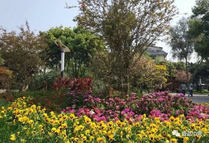 ��ѩ����С��԰ С��԰ ɢ����� 182313pujo6nvlnvw93lhv