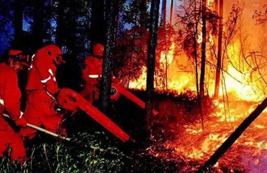 Ӣ�ۣ���ȼ�յĲ��ù⻪ һһΪ�Ĵ�ɭ�ֻ���������30λ����Ա�ᱼ Ӣ��,��,ȼ�յ�,����,�⻪ �ִ�ʫ�� 075258if98u33d05k0d30h