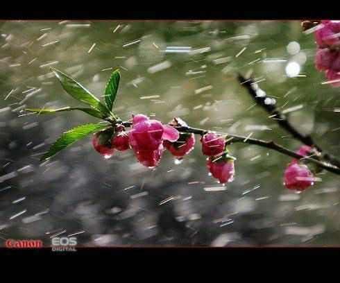 �ٽ���  ��㯺�Ȼ��ȥ �ٽ���,���,��Ȼ ���Ͻ��� 091331uw9wat23uw7lnsw2