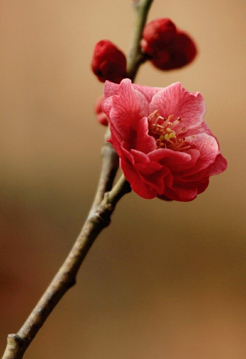 �����Ī��ǧ��Լ�� ǧ�� ���Ͻ��� 210604povqo34jno00vaj4