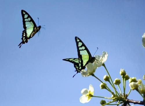 ����������  ���Ͻ��� 163453ls8gr20n7os7silu