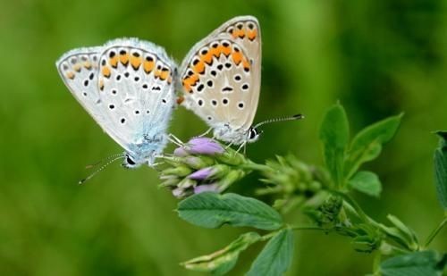 ����������  ���Ͻ��� 163500ui44lwwjzx7tyaa4