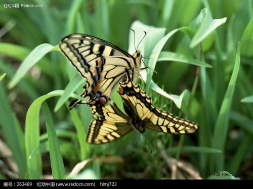 ����������  ���Ͻ��� 163508vg633mczkr8vc3r7