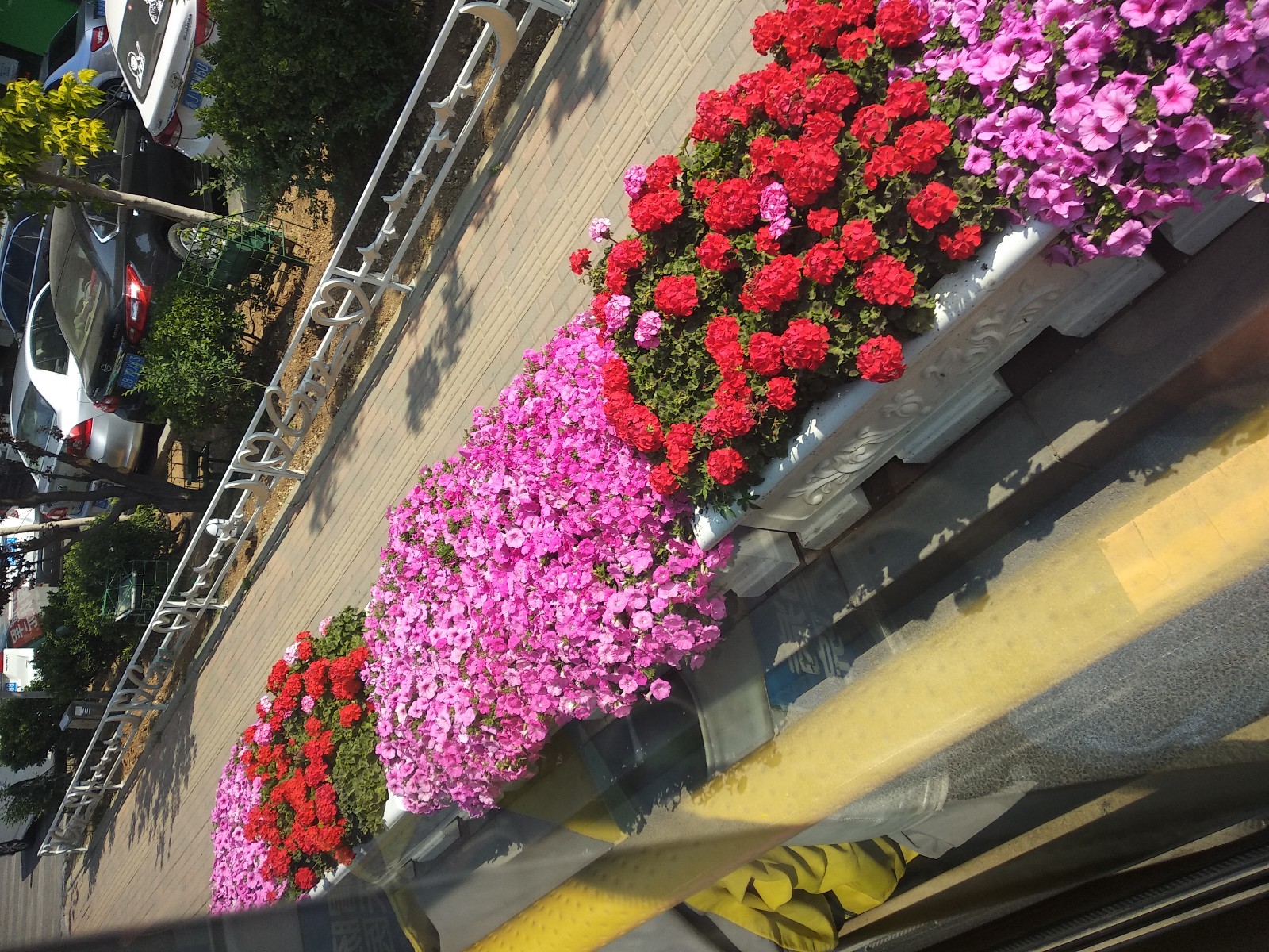 ���Ī��ǧ��Լ ǧ�� ���Ͻ��� 172638sy1v374c69h69499