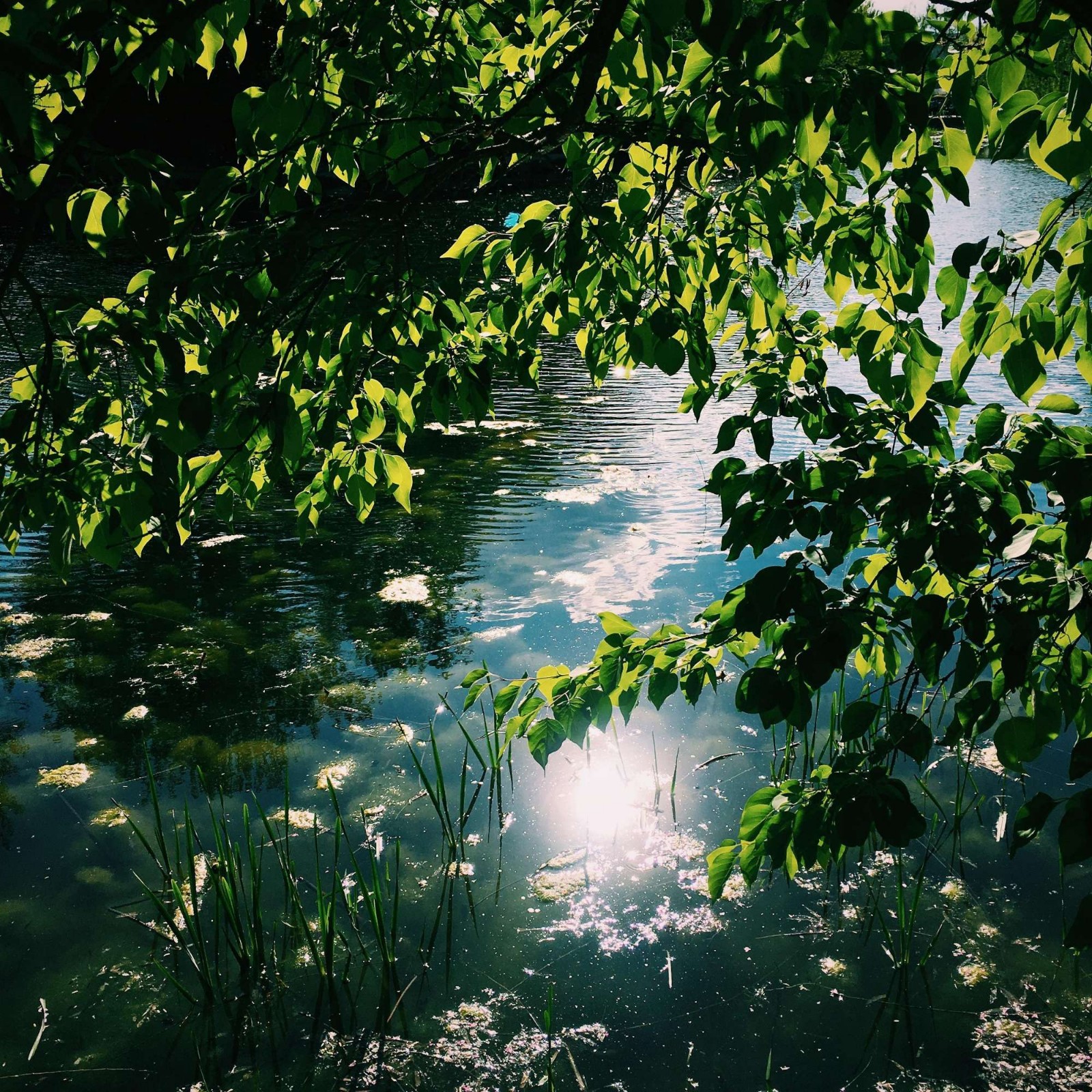 ���Ī��ǧ��Լ����8�� ǧ�� ���Ͻ��� 101908xf8u3mhz9u5fyeie