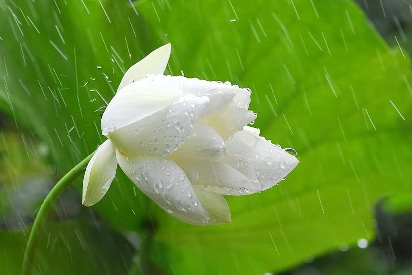 ���Ī��ǧ��Լ����2�� ǧ�� ���Ͻ��� 111423j6y7ahjbhzfaxfx4