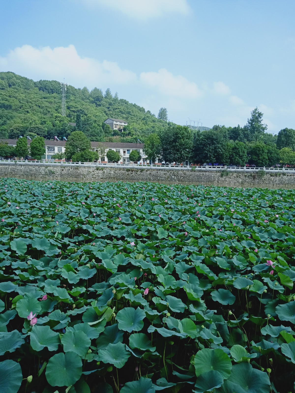 ������ǰ���ģ��㣬������ ����,���ǰ���� ɢ����� 211633msr1i6s1112455k6