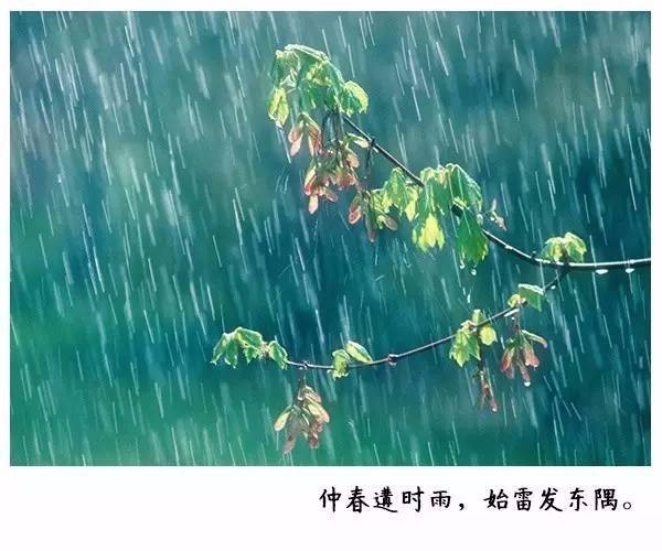 ��������ִ��� ����,���� ɢ����� 