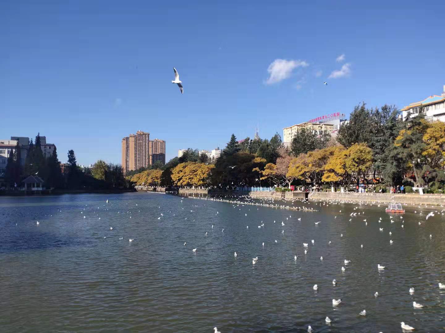 ����ϯ���ҵ��綬 ����,ϯ��,�ҵ� �ִ�ʫ�� 133954aqci95bxaqnqeeq3