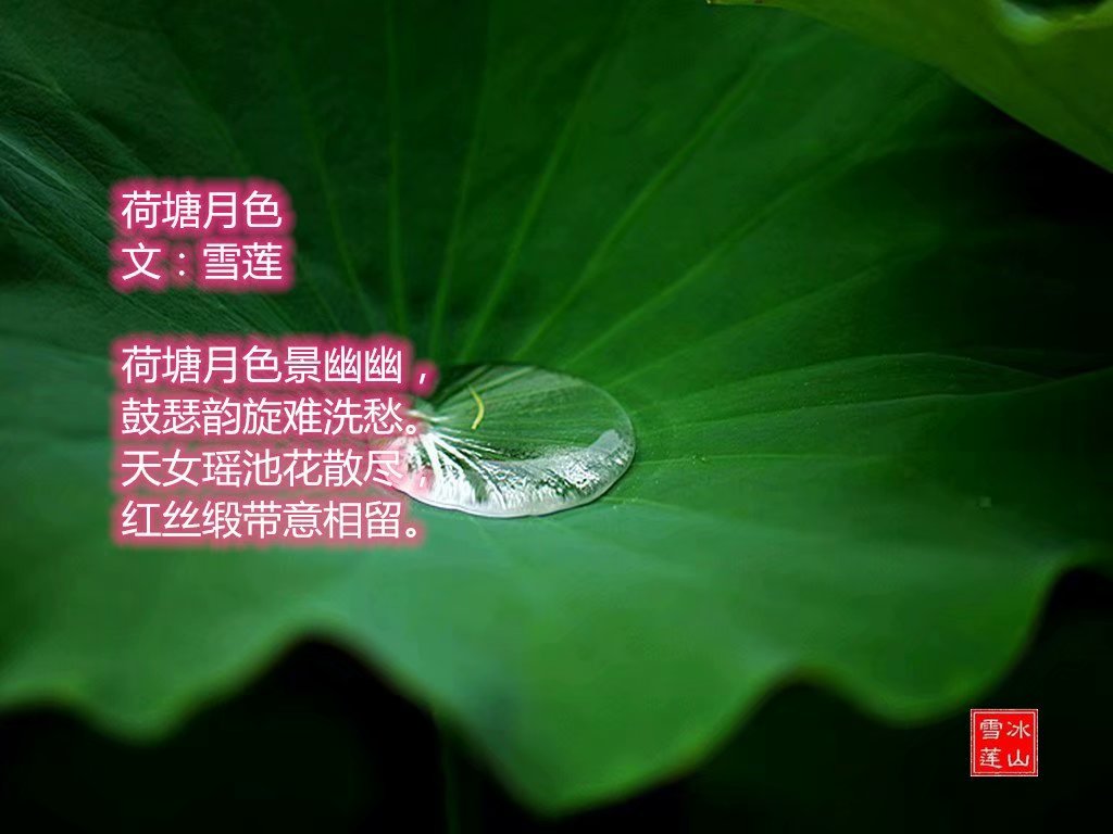 ������ɫ 1  (ѩ������) ������ɫ,ѩ��,���� ���Ͻ��� 121125e8du6fmj666fmpm3