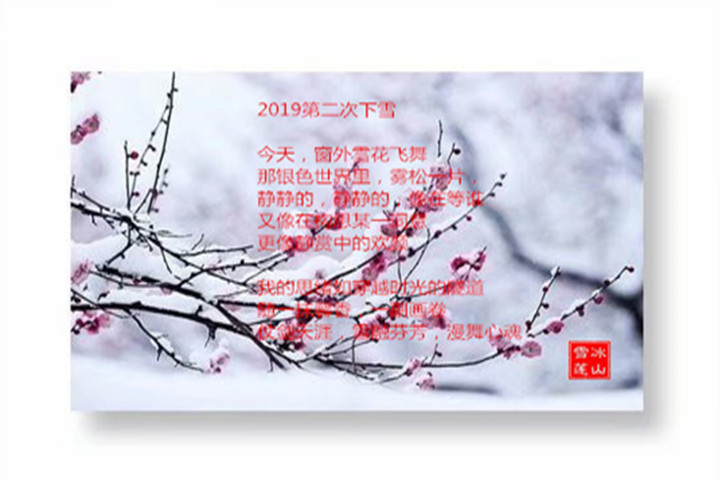 2019�ڶ�����ѩ ��ѩ�����֣� �ڶ���,��ѩ,���� �ִ�ʫ�� 133130i40gr7bfpzbo0008