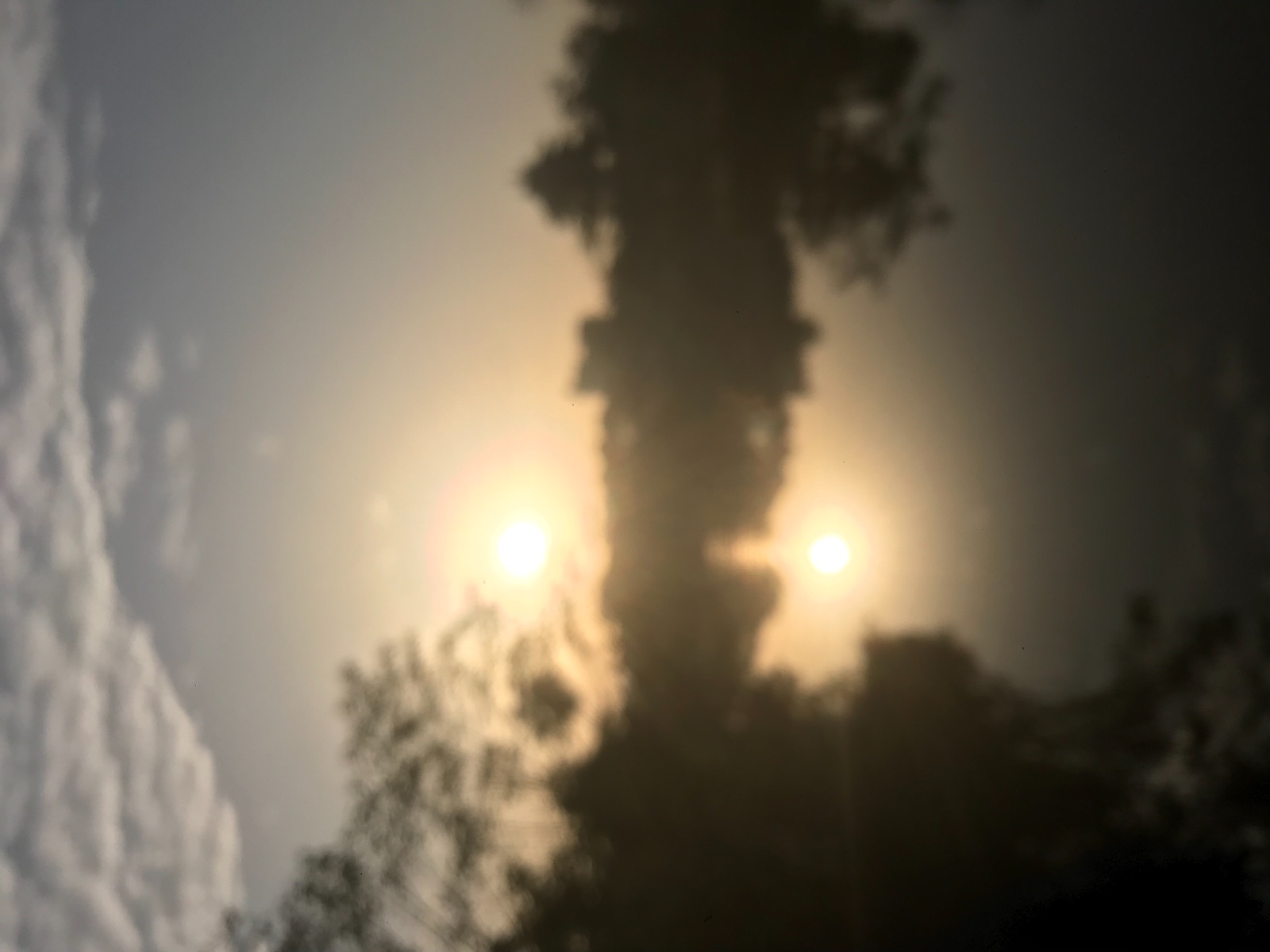 ����Ⱥ�� ����Ⱥ�� �ִ�ʫ�� 