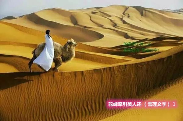 �շ�ǣ�����˻� 5�ף�ѩ�����֣� �շ�,ǣ��,����,ѩ��,���� ���Ͻ��� 143455rq7gozgeewsnt6tk