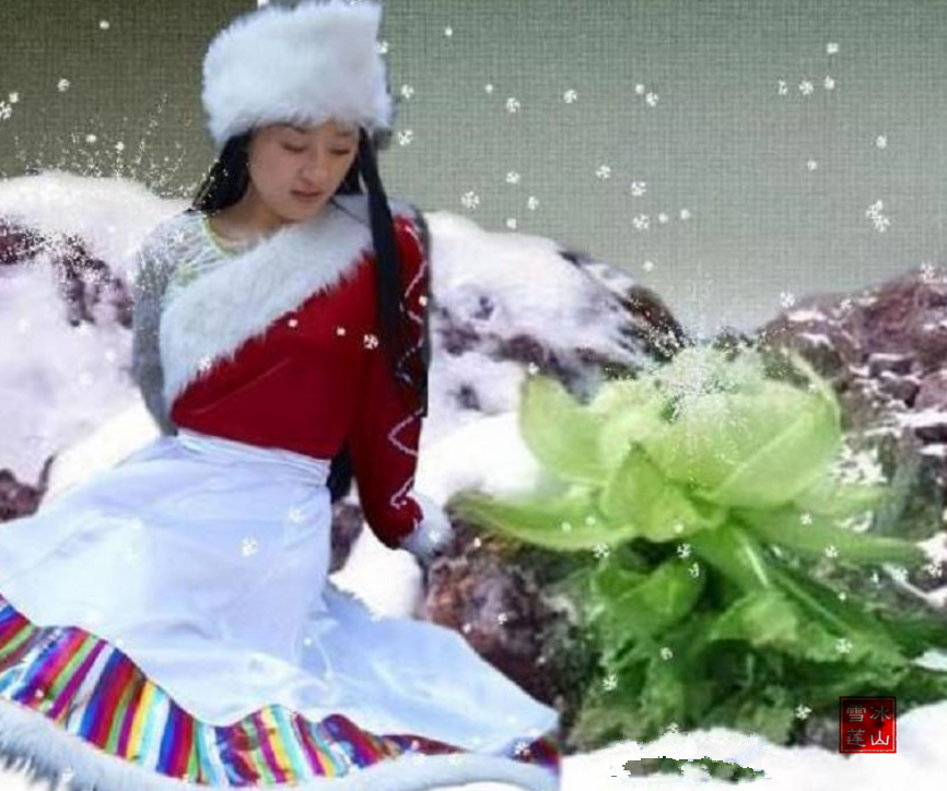 �������ط磬����ѩ���� ����,ѩ���� ԭ���׷� 151725sjjzlvbv3yz8v6n8