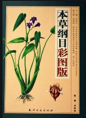 ���ɡ���ʱ��  ����һ�ף� ����,��һ�� ���Ͻ��� 212543roo11y5smuxpz77z