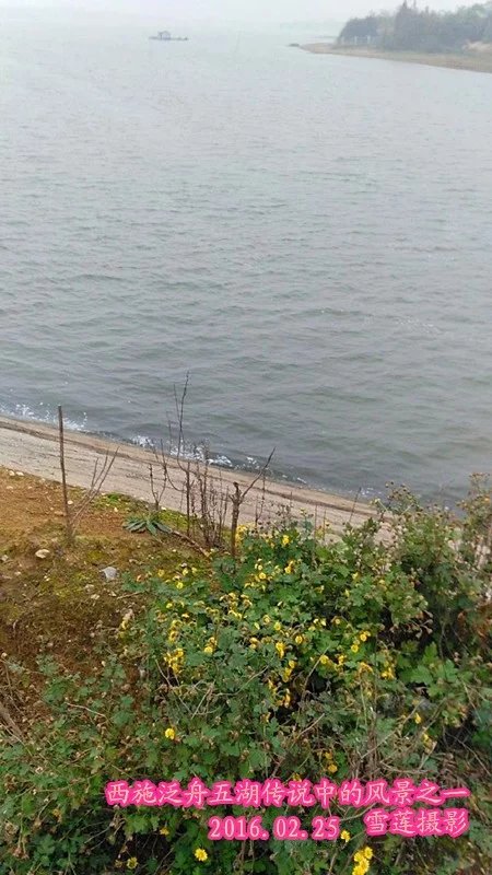 ��ʩ�ɴ��Խ�Σ�2�� ��ʩ�ɴ,��Խ�� ���Ͻ��� 235108v7j5juefejf5e75z