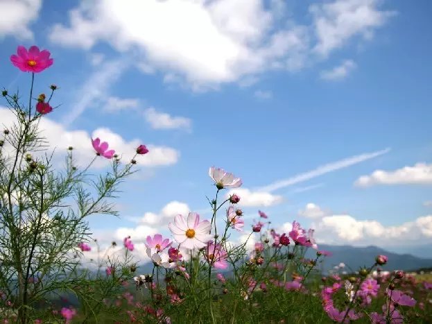 ������ˮ֮�� ��ˮ,֮�� ���Ͻ��� 200633dui7inkr15b7d1yb