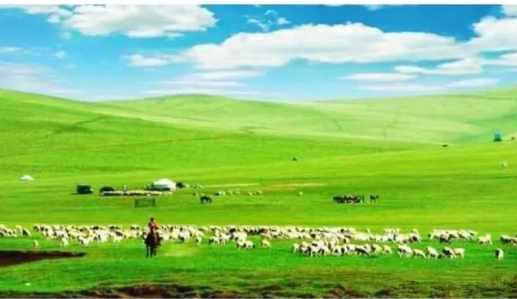 ��ʫ��----�ɿ��к������ˣ����ף� ʫ��,�ɿ��к�,������ ԭ���׷� 230811cz2ss9jrqyqdqvjd