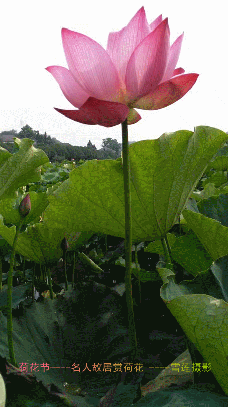 �߾� . �� �߾� ���Ͻ��� 235526tr7avnpkxrunkg9v