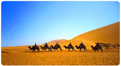 ˿��֮·----��ͼ���� ˿��֮· ���Ͻ��� 000220mggjyzgd3j3lu1u4