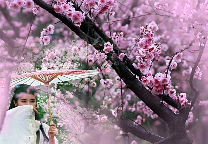 �� . �����ػ������� �ػ�,���� ���Ͻ��� 004723frjrfaqijlvibvlj