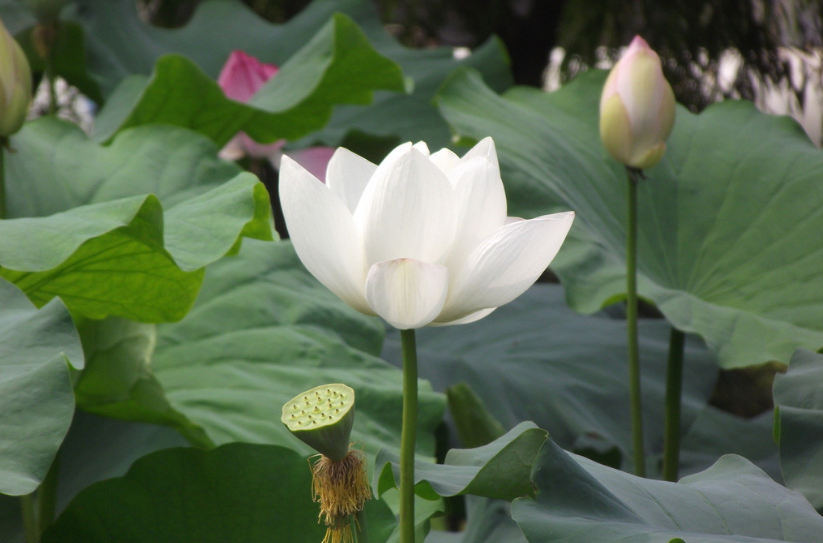 ������ ���� ���Ͻ��� 020552nrob7nssohzasblh