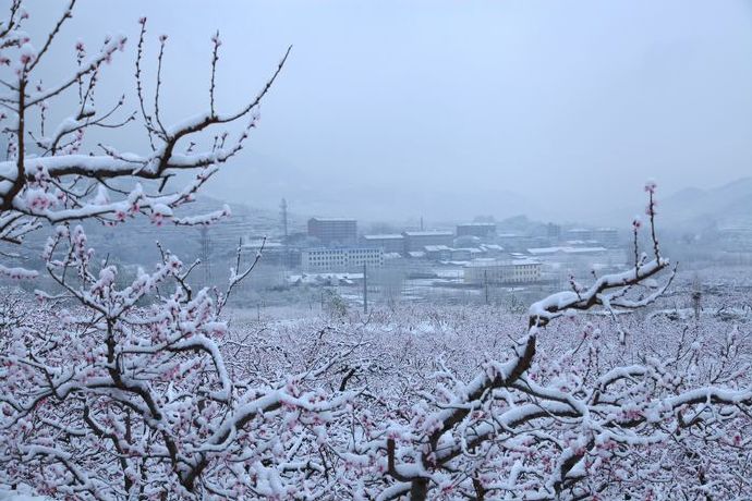 �������컨���ļ��� ����,����,�����ļ��� �ִ�ʫ�� 173458mfpmjjffpjmkf81i