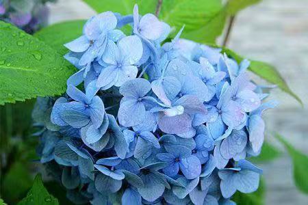 �໨ �໨ �ִ�ʫ�� 230305em32ww0mmlp005l4