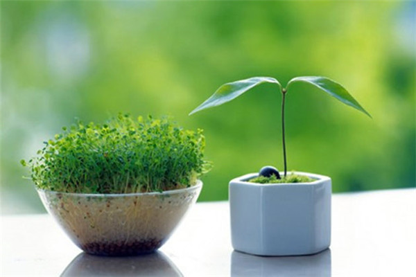 �������� ���� ���Ͻ��� 145814w1ekfsypped2p1qs