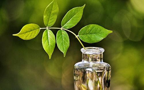 �߾����� �߾� ���Ͻ��� 150247ewwwawtxjsmkg1ny