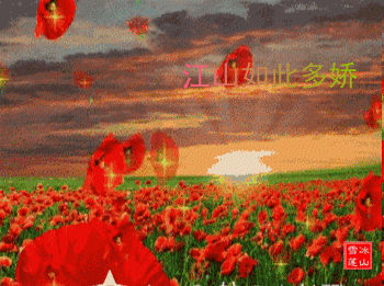 ���´���ٻ��� ����,�ٻ� ԭ���׷� 214444mg0md70ms44m644h