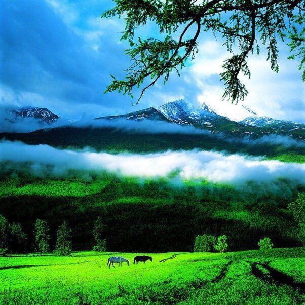 ������Ŀ ������Ŀ �ִ�ʫ�� 