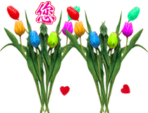 �󹤡�һ�� �� ���Ͻ��� 024509o53i6xj0pyggrwwr