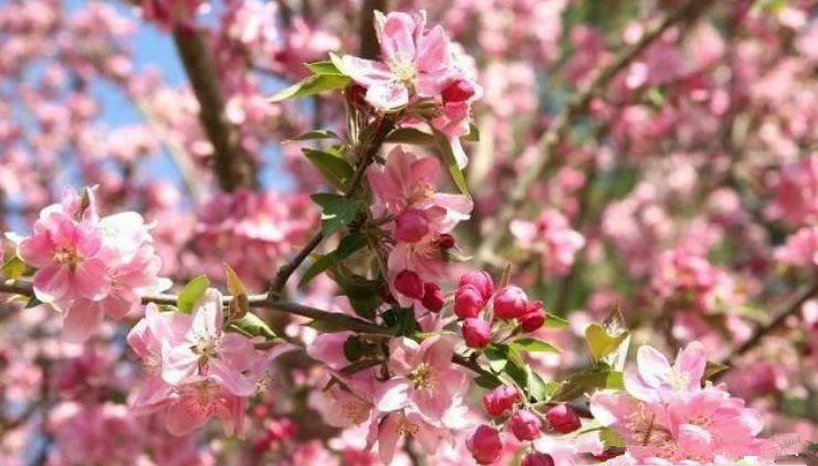 ������ ���� ԭ���׷� 174434j57771k8eyk8e6cn