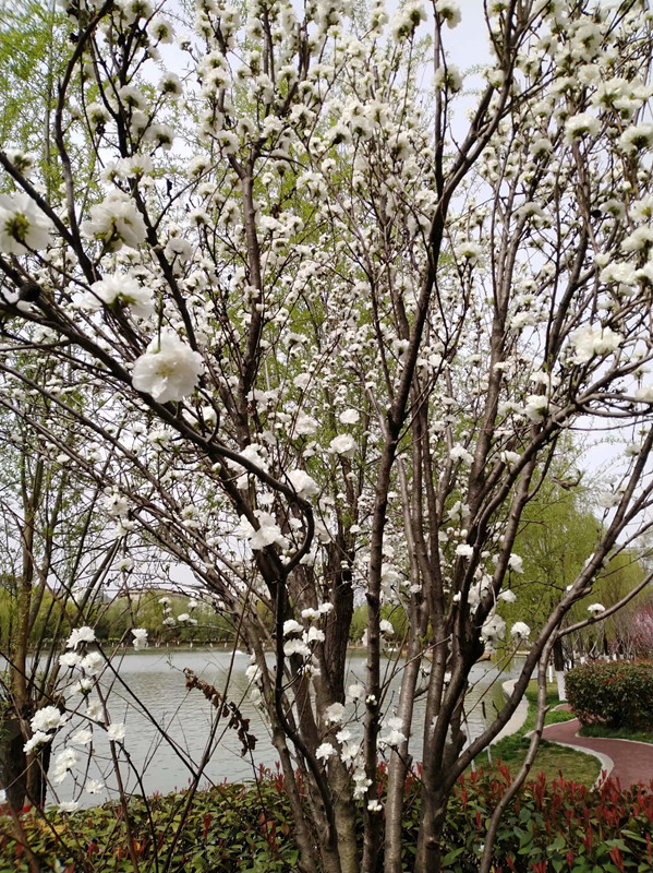 �߾� . ������ �߾�,������ ���Ͻ��� 195609q6f6j2djf2xhd060