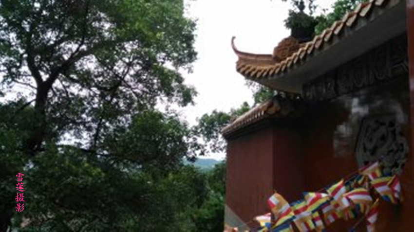 �߾�. ��ϼ�� �߾�,��ϼ�� ���Ͻ��� 220512nxeo0dwo3z0u8xf3