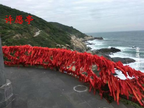 ��Ըͤ ��Ը ���Ͻ��� 164857npl5qlkvikc1kp8k